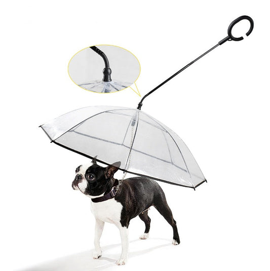 Parapluie Transparent Ajustable pour Animaux – Protection Élégante par Tous les Temps